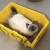 斜口工具箱收纳箱零件箱分类整理箱储物箱周转箱集装箱猫砂盆沙盆 贴纸
