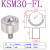 圆柱直筒精密型万向球KSM22-FL万向滚珠轴承螺杆重型牛眼轮实心 KSM30-FL(轴承钢）