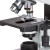 AmScope 三目显微镜 耐用型 T490B-5M 一套