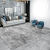 惠创安极简地毯素色抽象客厅沙发茶几卧室床边毯灰色大面积满铺地毯 简约-银灰 宽200厘米X长300厘米