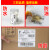 HKFZE邮宝三防热敏标签纸100*100*500快递物流面单不干胶条码 100*30*1000张 整箱更