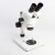 敏捷 现货高清双目体视显微镜SMZ连变教学实验研究光学科普仪器批发 SMZ-0745光源