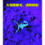 超亮折叠式蝎子灯养殖专用紫光手电筒蝎子用豆虫强光充电手提定制 折叠超亮96颗紫光+白光2镊子