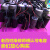 浙江双峰电容电机启动运行电容器 全系列  保证质量 50VF-450V 尺寸50*91