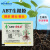 ABT生根粉1号一号2号3号苗木扦插发根育苗通用移栽植物生长调节剂 GGR6号1g/袋