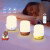 雷士（NVC）LED小夜灯Linefriends联名款喂奶灯伴睡眠床头灯生日礼品-布朗熊