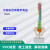 七格匠人体骨骼脊椎彩色中型脊椎合集 立式挂式骨科教学器材