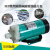 福奥森 定制适用MP-10RN/15RM/20R/30R/55R 耐腐蚀电渡水泵器泵微型磁力泵 MP-70R
