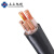 上上电缆 电缆线ZC-YJV-0.6/1kV-4*50+1*25平方5芯国标阻燃铜芯电源线全项保检 1米 