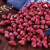 谷耘滇云南小粒红皮花生 生花生红花生花生米生的农家干货特产种子 小粒红皮花生米 500g