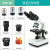XSP-36-1600X 双目专业光学 生物显微镜学生实验检测养殖 XSP362500倍（双目）