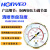 气减压阀YQ-1铜两级压力调节器实验室双级氧气氩气honyeo YQ-1(25*0.6)
