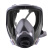LISM防毒面具全面罩喷漆专用防尘口罩防工业粉尘防护罩放毒氧气呼吸器 升级款硅胶防尘毒面具