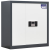龙之泰 电子密码锁保密柜智能储物柜 灰白套色矮柜带抽