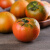 丹东草莓柿子 5斤西红柿新鲜碱地盘锦铁皮柿子自然熟生吃水果番茄 顺丰特大果 5斤 20个以内铁皮柿子