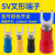 适用于SV1.25-4S冷压接线端子叉形线鼻子铜U形型预绝缘端子接头叉 SV1.25-8