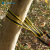 SHANDUAO 户外扁带环 攀岩登山装备 承重扁带绳 耐磨保护带SD289 黄色双边120cm