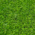 标燕 仿真草坪加密假草人造假草皮绿色地毯围挡户外室内幼儿园操场装饰草人工草坪垫（20mm春草50平方1卷）