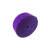 中云智创 MST105 10mmx1米 2卷/包   尼龙    魔术贴扎带 紫色 （计价单位：包）