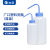 垒固 广口塑料洗瓶大口塑料清洗瓶实验室洗气瓶 250ml（蓝盖）