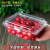 一次性水果盒 超市一次性水果包装盒透明塑料盒水果500M水果店一 1610H5透明约半斤装-100个