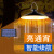 艾睿益轻奢家用餐厅吊灯厨房饭厅客厅顶灯具现代简约大气创意照明灯