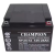 CHAMPION铅酸免维护蓄电池NP系列12v全型号UPS直流屏EPS专用 12v24ah