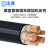 沈津 ZR-YJV-0.6/1KV-3*25+2*16mm² 国标铜芯阻燃电力电缆 1米