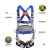 泰瑞恒安 五点式安全带 防坠消防作业安全带 全身式安全带 单独安全带 蓝灰色单小钩带绳1.8米