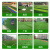 仿真草坪地毯幼儿园人造假草皮装饰阳台户外绿色围挡人工塑料绿植定做 2.5厘米加厚夏草10平米+送2平米