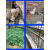 镀锌钢丝网围栏圈地养殖鸡鸭动物栅栏护栏鱼塘防裂抹墙铁丝网孔 1米高5厘米网孔2.0毫米粗18米长
