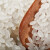稻可道东北大米长粒香米5kg长粒米一级大米10斤粳米寒地黑土大米 东北长粒香米 5kgX1袋10斤