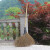 定制竹扫把农村老式竹丝扫帚笤帚户外庭院环卫通用大扫把扫院子 金丝草植物扫帚长15米宽60厘米