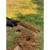 正宗洛阳铲头取土神器挖土洞锹打眼工具挖树考古勘探取样挖孔栽树定制 5米每节一米3把铲头套装