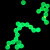 红色/绿色/黄色/蓝色二氧化硅荧光微球 稀土铕 时间分辨荧光微球 十微米 2.5% 20毫升 488激发/525发射
