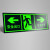 安全出口指示牌地贴夜光墙贴通道标志紧急贴纸提示警示标识荧光疏 安全出口双向墙贴T103 1429cm