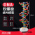 DNA双螺旋结构模型大号高中分子结构模型60cJ33306脱氧核苷酸链 DNA双螺旋结构模型(小号)