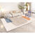 初构想（CHUGOUXIANG）地毯客厅2024新款沙发茶几垫子地垫轻奢家用可擦免洗卧室床边 BO-727 50x80cm
