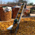 玉米棒子输送机家用小型传送带苞米上棒机链条漏粒传送带颗粒散料 7米双链条款4米铜电机 00mm