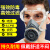赞璐桐防毒面具喷漆过滤化工气体异味农药呼吸防护全面罩口罩 1只 3600防毒面具