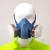 特郎净防毒防尘面具口罩防有机气体化工打磨水泥喷漆木工农药类面罩