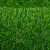 共泰 仿真草坪 春草11针加厚复合背胶 场地铺设草坪地毯装饰园林绿化 1m²