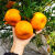 四川芦柑新鲜时令橘子当季应季孕妇水果橘子批发鲜果大果 2斤'大果试吃(不划算))