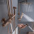 当代（DCRN BRACHT）德国高端玫瑰金恒温淋浴花洒套装铜家用浴室冷热豪华沐浴淋雨 拉丝金4