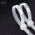 须特（XUTE) 室外抗氧化园林园艺束线扎丝捆绑带桌面理线带束线带 白色尼龙扎带12*300mm100根/包