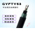 GYFTY53-8B1.3室外铠装光纤4/12/16/24/48/96芯非金属直地埋光缆 GYFTY53-120芯