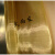 黄铜网100/200目电磁信号屏蔽铜丝网布油漆过滤编织磷铜网 60目-1米