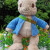 全光辰（quanguangchen）原单比得兔毛绒玩具公仔大号彼得兔兔子玩偶布娃娃生日礼物 38厘米的 30厘米-39厘米