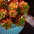 ZHIO多肉植物带盆老桩多头大颗火焰蒂亚阳台室内网红肉肉植物花卉盆栽 玉坠锦 +(塑料简易盆) 冠幅约11c 带盆