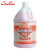 超宝（CHAOBAO）酸性清洁剂 大瓶装 瓷砖地面大理石去污除渍清洗剂 DFF019